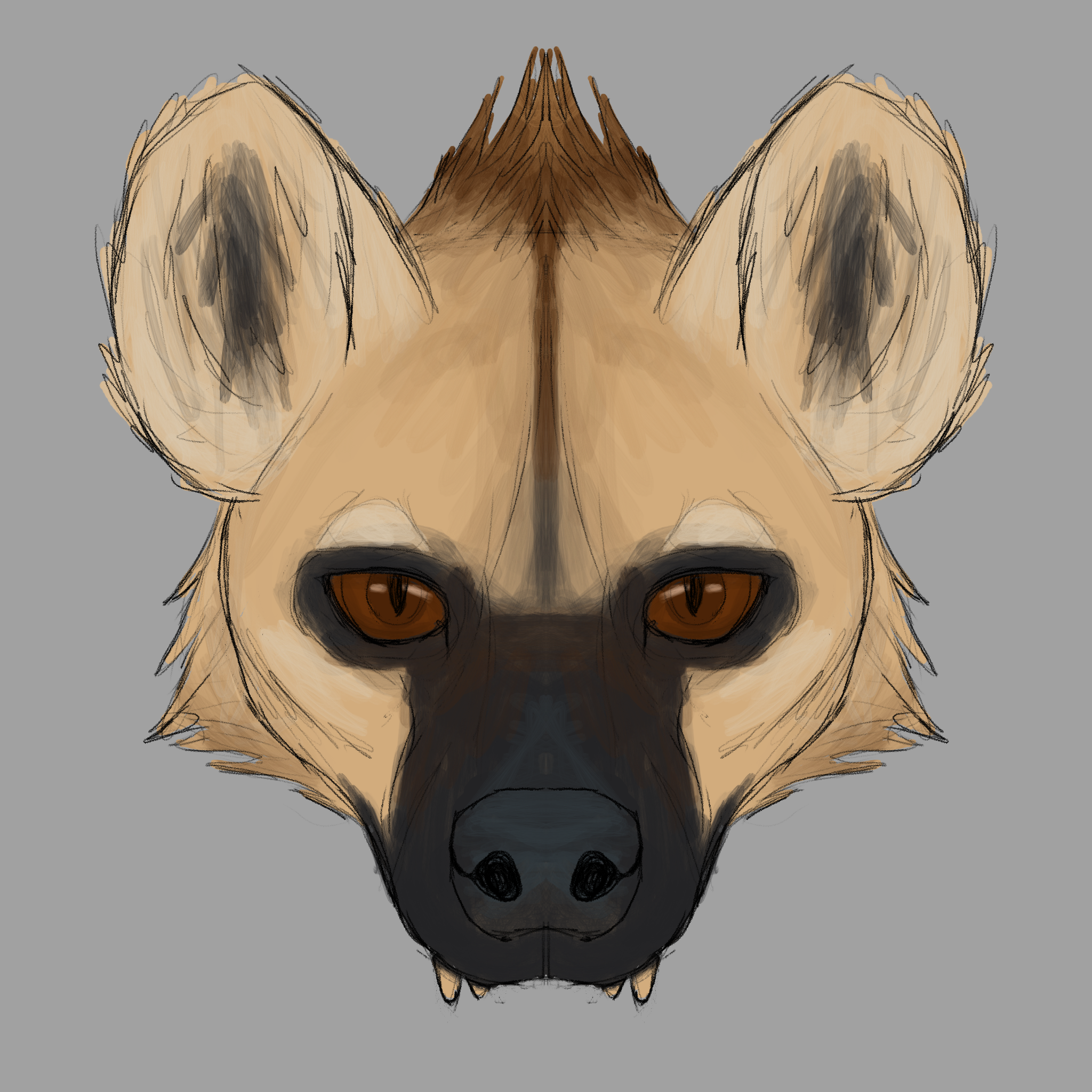 Hyena Halfmask of a spotted hyena with brown eyes.